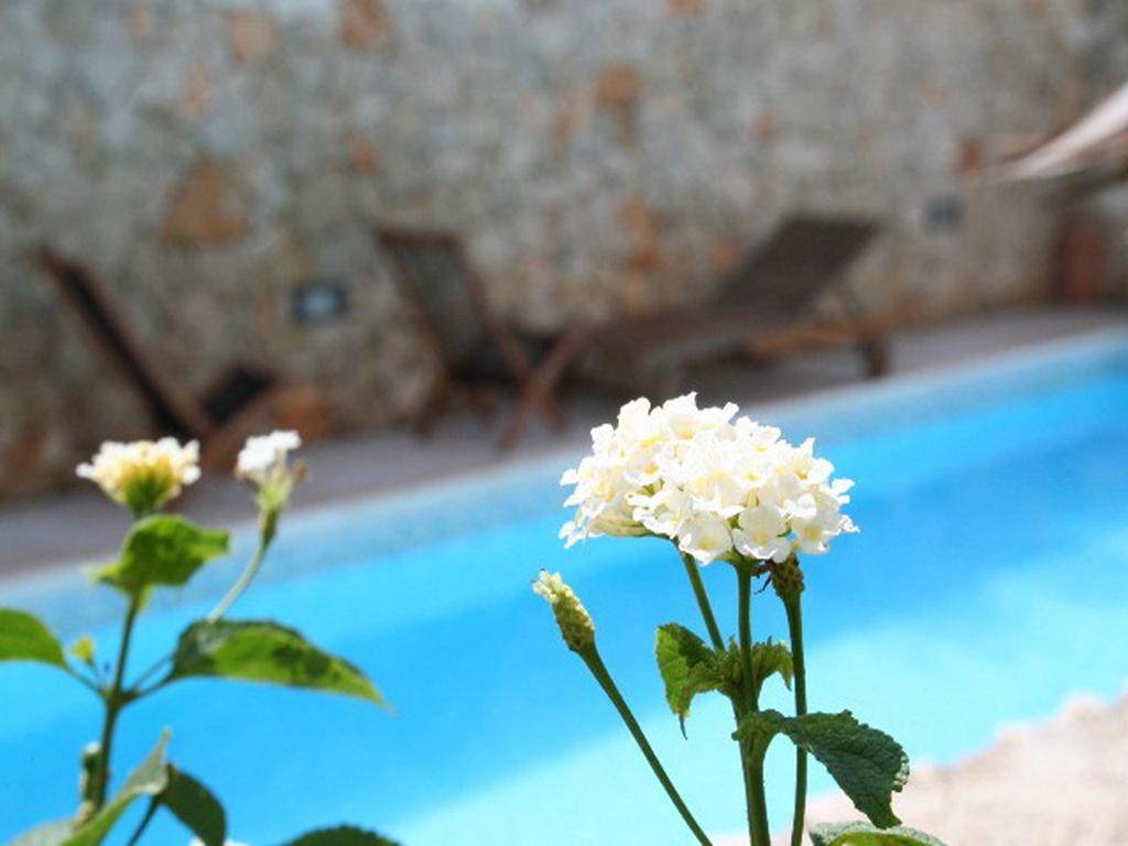 Residence Quattrocolonne Santa Maria al Bagno Rum bild